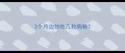 3个月边牧吃几粒狗粮