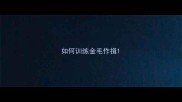 如何训练金毛作揖