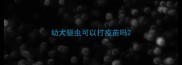 幼犬驱虫可以打疫苗吗