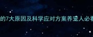 小狗频繁吃草的7大原因及科学应对方案养宠人必看的健康指南