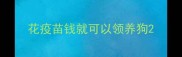 花疫苗钱就可以领养狗