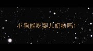 小狗能吃婴儿奶粉吗