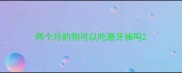 两个月的狗可以吃磨牙棒吗