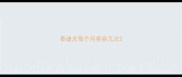 泰迪犬每个月美容几次