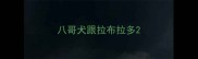 八哥犬跟拉布拉多