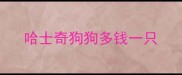 哈士奇狗狗多钱一只