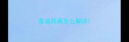泰迪尿黄怎么解决