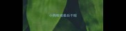 小狗咳喘最后干呕