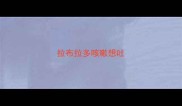 拉布拉多咳嗽想吐