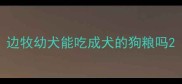 边牧幼犬能吃成犬的狗粮吗