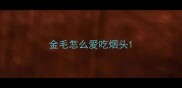 金毛怎么爱吃烟头