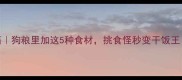 狗狗爱吃秘籍狗粮里加这5种食材挑食怪秒变干饭王附亲测配方