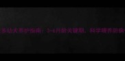 拉布拉多幼犬养护指南3-6月龄关键期科学喂养防病于未然
