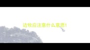 边牧应注意什么意思