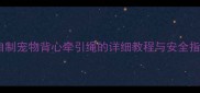 零基础也能学会自制宠物背心牵引绳的详细教程与安全指南附材料清单