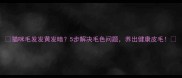 猫咪毛发发黄发暗5步解决毛色问题养出健康皮毛