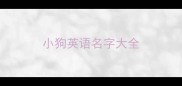 小狗英语名字大全