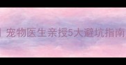 狗狗消炎药使用全攻略宠物医生亲授5大避坑指南这3种药千万碰不得