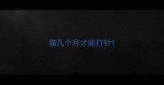 猫几个月才能打针