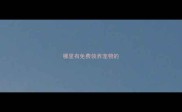 哪里有免费领养宠物的