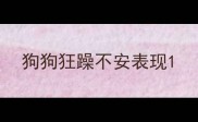 狗狗狂躁不安表现