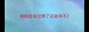 狗狗疫苗过期了还能用不