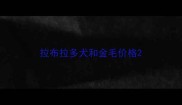 拉布拉多犬和金毛价格