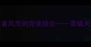哈士奇自由灵魂与王者风范的完美结合雪橇犬的养护密码与性格解读