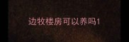 边牧楼房可以养吗