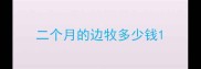 二个月的边牧多少钱