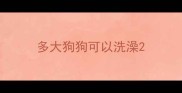 多大狗狗可以洗澡