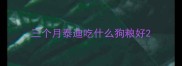 三个月泰迪吃什么狗粮好