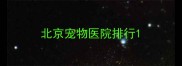 北京宠物医院排行