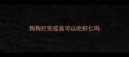 狗狗打完疫苗可以吃虾仁吗