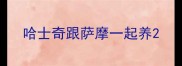 哈士奇跟萨摩一起养