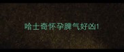 哈士奇怀孕脾气好凶