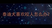 泰迪犬喜欢咬人怎么办
