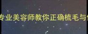 拉布拉多犬掉毛严重怎么办专业美容师教你正确梳毛与修剪技巧附季节护理指南