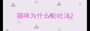 猫咪为什么会吐沫