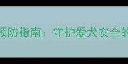 拉布拉多车祸预防指南守护爱犬安全的5大必备措施
