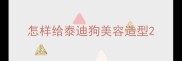 怎样给泰迪狗美容造型