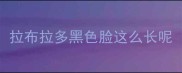 拉布拉多黑色脸这么长呢