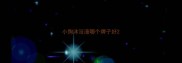 小狗沐浴液哪个牌子好