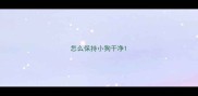 怎么保持小狗干净
