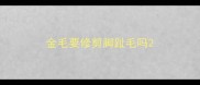 金毛要修剪脚趾毛吗