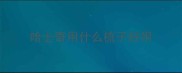 哈士奇用什么梳子好用