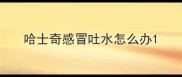 哈士奇感冒吐水怎么办