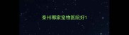 泰州哪家宠物医院好