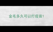 金毛多久可以打疫苗