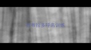 拉布拉多呼名训练